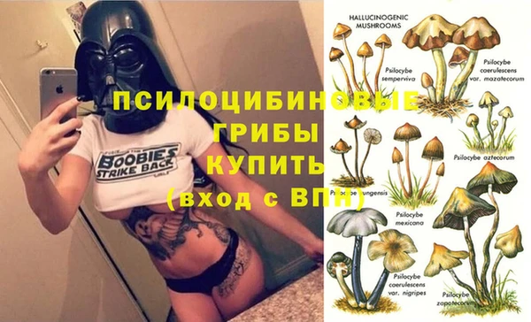 хмурый Абинск