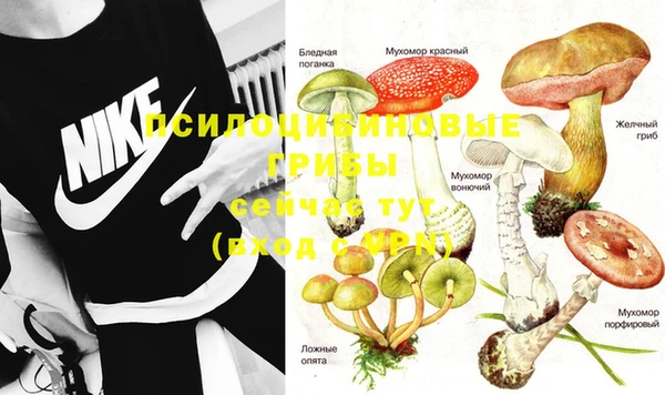 хмурый Абинск