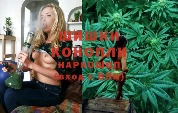 прущие крисы Абаза