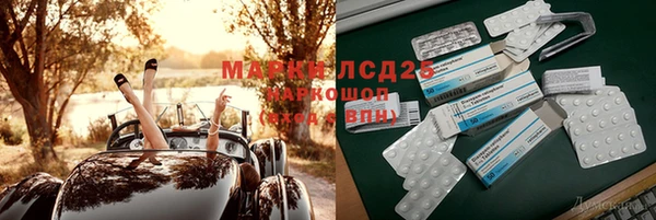прущие крисы Абаза