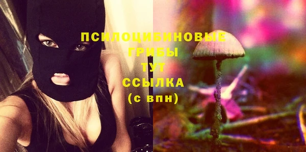 прущие крисы Абаза