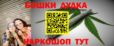 индика Мариинск