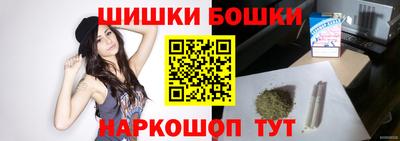 индика Мариинск