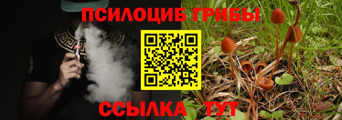 Галлюциногенные грибы MAGIC MUSHROOMS  Вход с VPN  Донской 