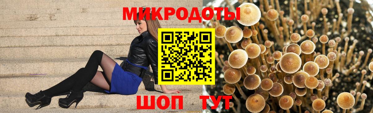 Псилоцибиновые грибы прущие грибы Донской
